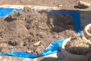 Repair Handyman Dirt Removal Hauling - Repair
