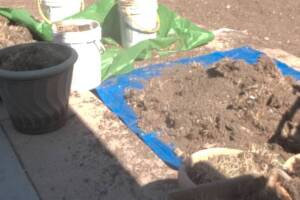 Repair Handyman Dirt Removal Hauling - Repair
