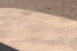 Repair Handyman Dirt Removal Hauling - Repair