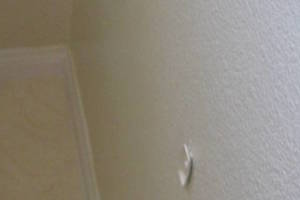 Repair Handyman Drywall Patching Paint - Repair