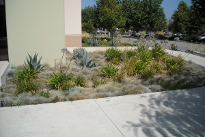 Repair Handyman Flagpole Installation Commercial - Repair