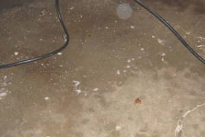 Repair Handyman Garage Pressure Wash - Repair