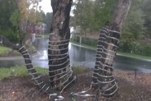 Repair Handyman Home Christmas Lights - Repair