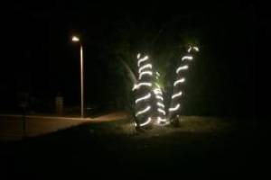 Repair Handyman Home Christmas Lights - Repair