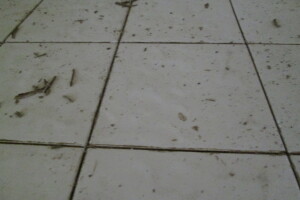 Repair Handyman Kitchen Counter Regrout - Repair