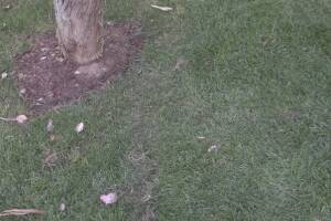 Repair Handyman Landscape Lighting Install - Repair