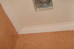 Repair Handyman Moulding Drywall Paint - Repair
