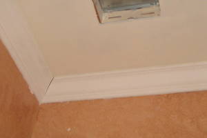 Repair Handyman Moulding Drywall Paint - Repair