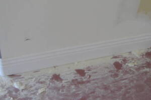 Repair Handyman Moulding Drywall Paint - Repair