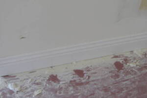 Repair Handyman Moulding Drywall Paint - Repair