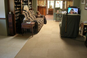 Repair Handyman Paint Hang Artwork - Repair