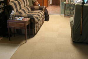 Repair Handyman Paint Hang Artwork - Repair