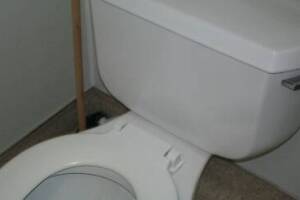 Repair Handyman Pressure Toilet Tank - Repair
