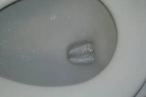 Repair Handyman Pressure Toilet Tank - Repair