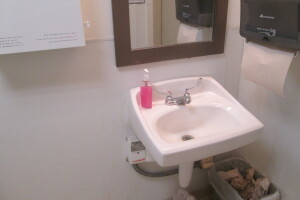 Repair Handyman Retail Clogged Sink - Repair