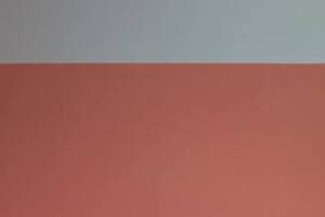 Repair Handyman Retail Paint Touchup - Repair