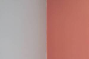 Repair Handyman Retail Paint Touchup - Repair