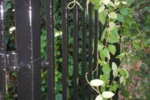 Repair Handyman Rod Iron Fence Repaint - Repair