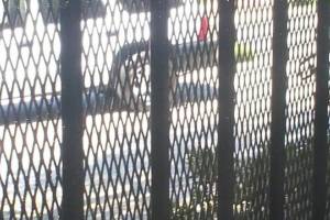 Repair Handyman Rod Iron Fence Repaint - Repair