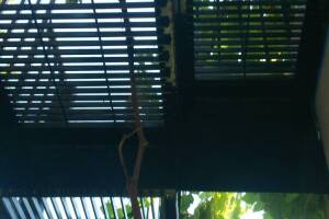 Repair Handyman Rod Iron Fence Repaint - Repair