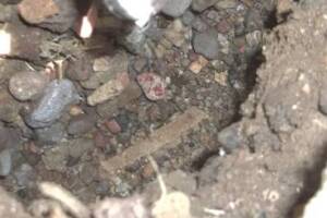 Repair Handyman Sprinkler Pipe Head - Repair