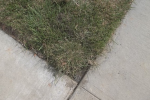 Repair Handyman Sprinkler Pipe Head - Repair