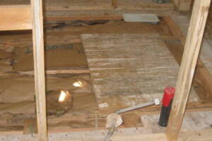 Repair Handyman Subfloor Carpentry Insulation - Repair