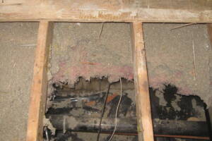 Repair Handyman Subfloor Carpentry Insulation - Repair