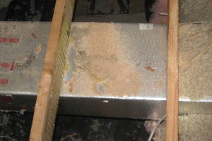 Repair Handyman Subfloor Carpentry Insulation - Repair