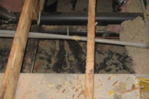 Repair Handyman Subfloor Carpentry Insulation - Repair