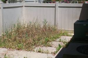 Repair Handyman Weed Trim Cleanup - Repair