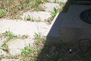 Repair Handyman Weed Trim Cleanup - Repair