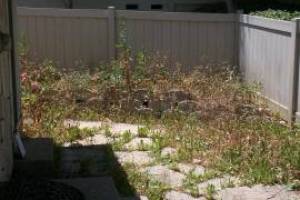 Repair Handyman Weed Trim Cleanup - Repair