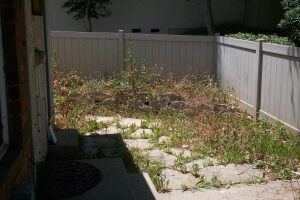 Repair Handyman Weed Trim Cleanup - Repair