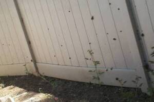 Repair Handyman Weed Trim Cleanup - Repair