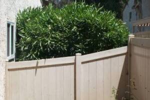 Repair Handyman Weed Trim Cleanup - Repair