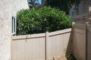 Repair Handyman Weed Trim Cleanup - Repair