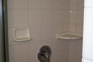 Repair Reo Property Bath Remodel - Repair