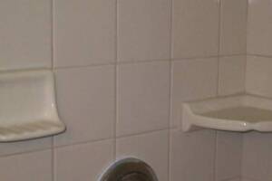 Repair Reo Property Bath Remodel - Repair