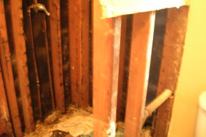 Repair Reo Property Bath Remodel - Repair