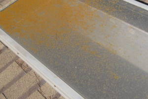 Repair Reo Property Home Yard Misc - Repair