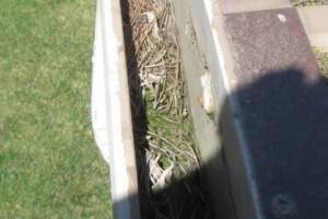Repair Reo Property Home Yard Misc - Repair