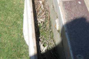 Repair Reo Property Home Yard Misc - Repair