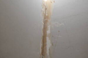 Repair Reo Property Home Yard Misc - Repair