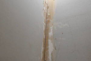 Repair Reo Property Home Yard Misc - Repair