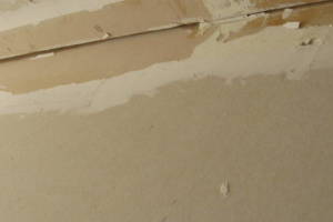 Repair Reo Property Home Yard Misc - Repair