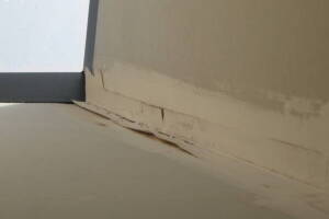 Repair Reo Property Home Yard Misc - Repair