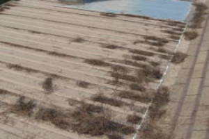 Repair Reo Property Home Yard Misc - Repair