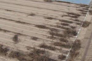 Repair Reo Property Home Yard Misc - Repair