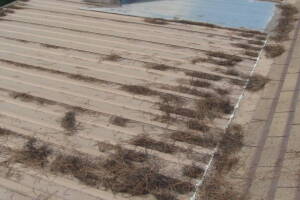 Repair Reo Property Home Yard Misc - Repair